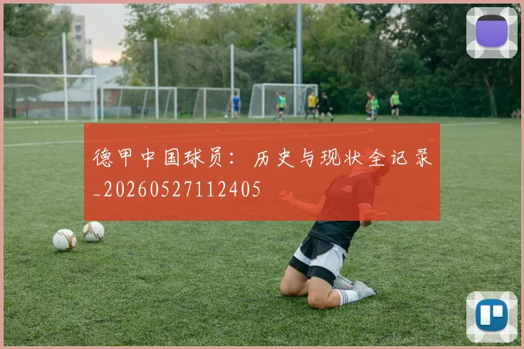 德甲中国球员:历史与现状全记录_20260527112405