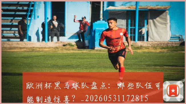 欧洲杯黑马球队盘点：哪些队伍可能制造惊喜？_20260531172815